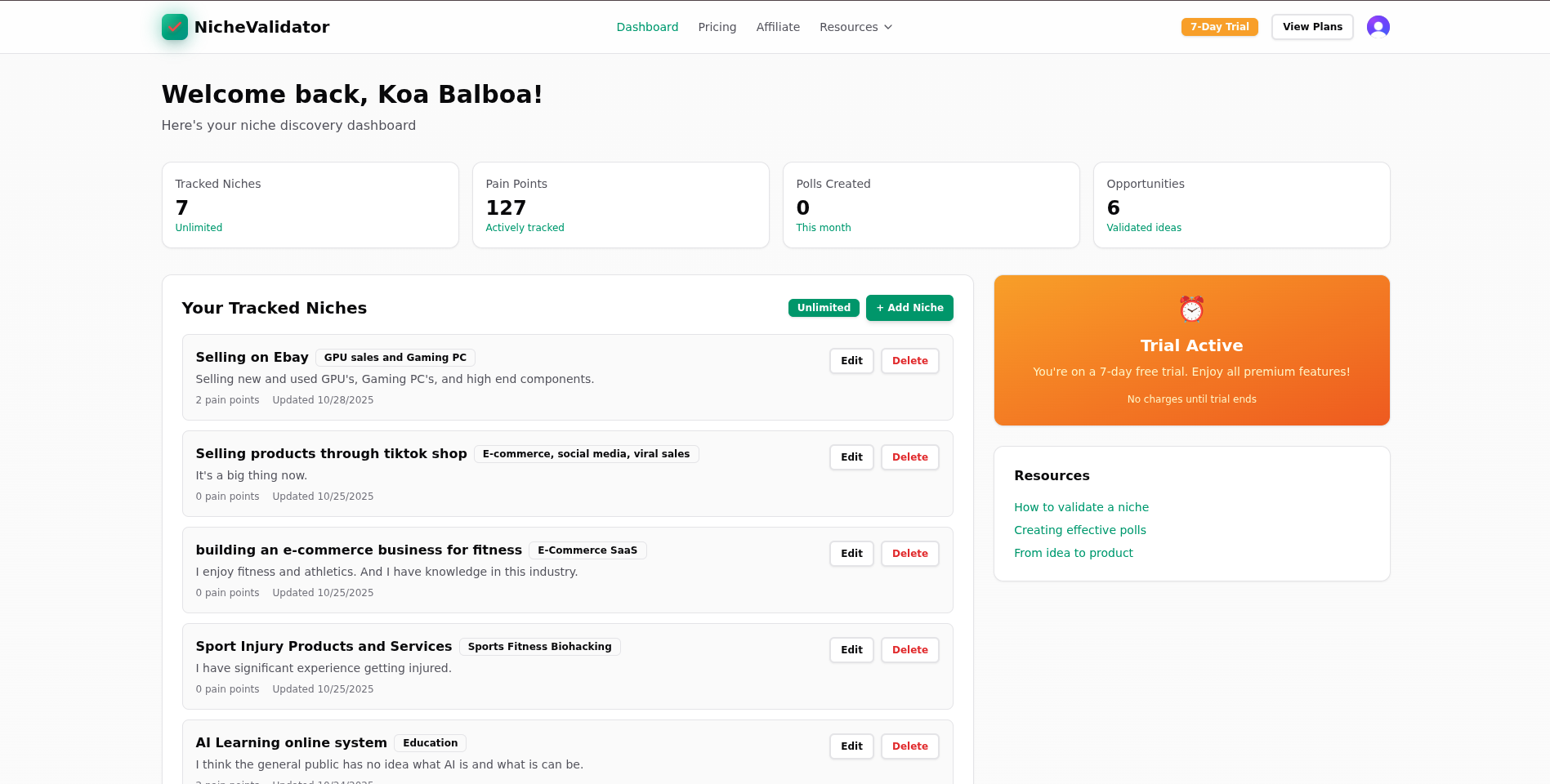 NicheValidator Dashboard - Discover validated business opportunities